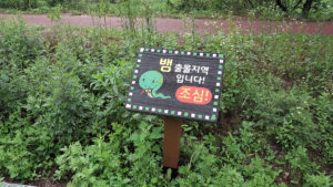 뱀!뱀!뱀! 운학동 생태습지공원 뱀조심하세요!