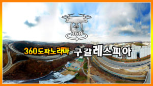 구갈레스피아와 신갈우회도로