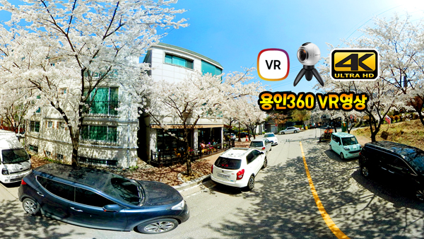 360도 VR 영상 “처인홀 앞 벚꽃길”