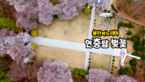 4K힐링영상 “용인중앙공원 현충탑 벚꽃”