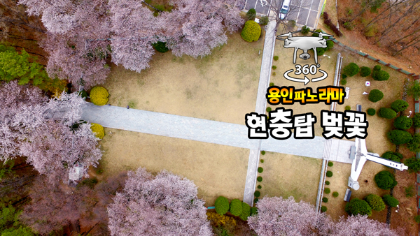4K힐링영상 “용인중앙공원 현충탑 벚꽃”
