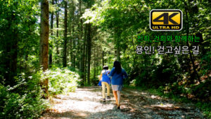 힐링가득 도사마을 산길 나들이