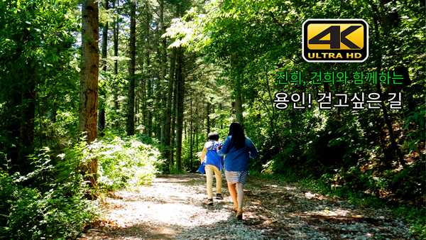 힐링가득 도사마을 산길 나들이