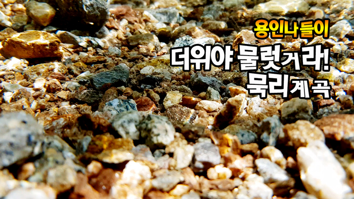 더위야 물럿거라! 묵리계곡