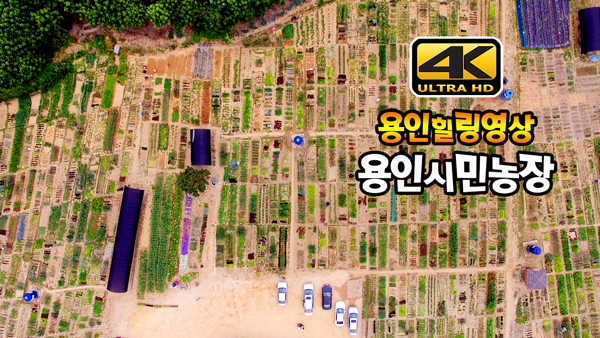 풍성한 6월의 용인시민농장