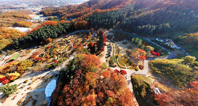 용인농촌테마파크의 가을 풍경
