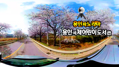고림동 벚꽃길 360VR영상